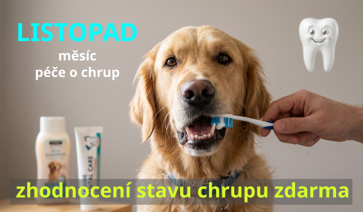 Aktuální nabídka